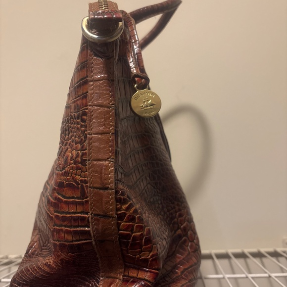 Brahmin - Picture 2 of 4